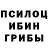 Псилоцибиновые грибы GOLDEN TEACHER Daniil Tamendarov