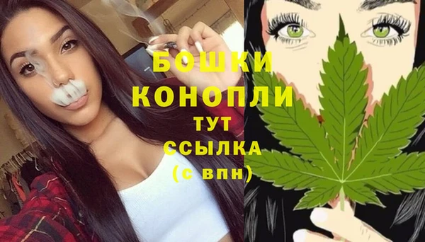 сатива Протвино