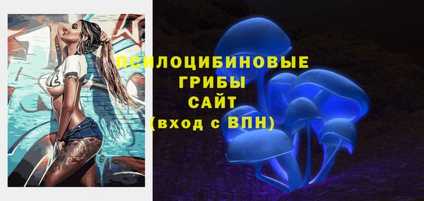 сатива Протвино