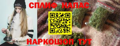 СК Волгодонск