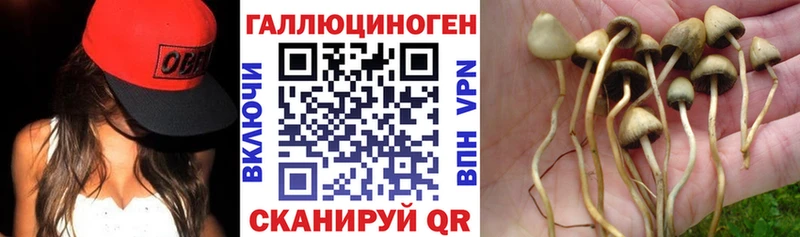 хочу   Стрежевой  Псилоцибиновые грибы MAGIC MUSHROOMS 