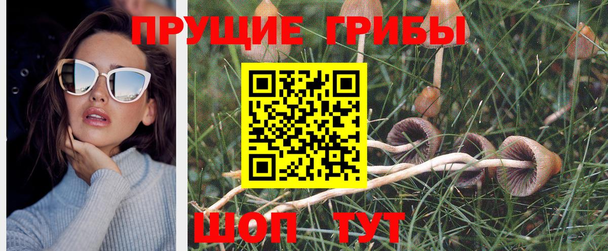 Стрежевой  APVP СК кристаллы  НБОМе  Мефедрон кристаллы  Cocaine  МЕТАМФЕТАМИН  Конопля  ГАШИШ  Бошки Шишки  COCAIN 