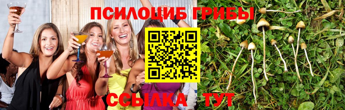 цены   Галлюциногенные грибы Cubensis  Вход с VPN  Стрежевой  Галлюциногенные грибы мицелий 